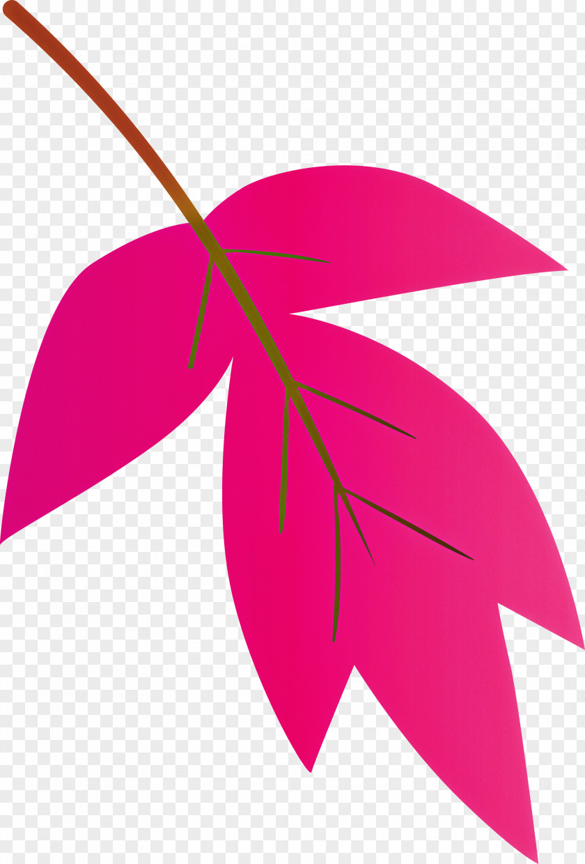 Leaf Pink Line Plant Magenta PNG
