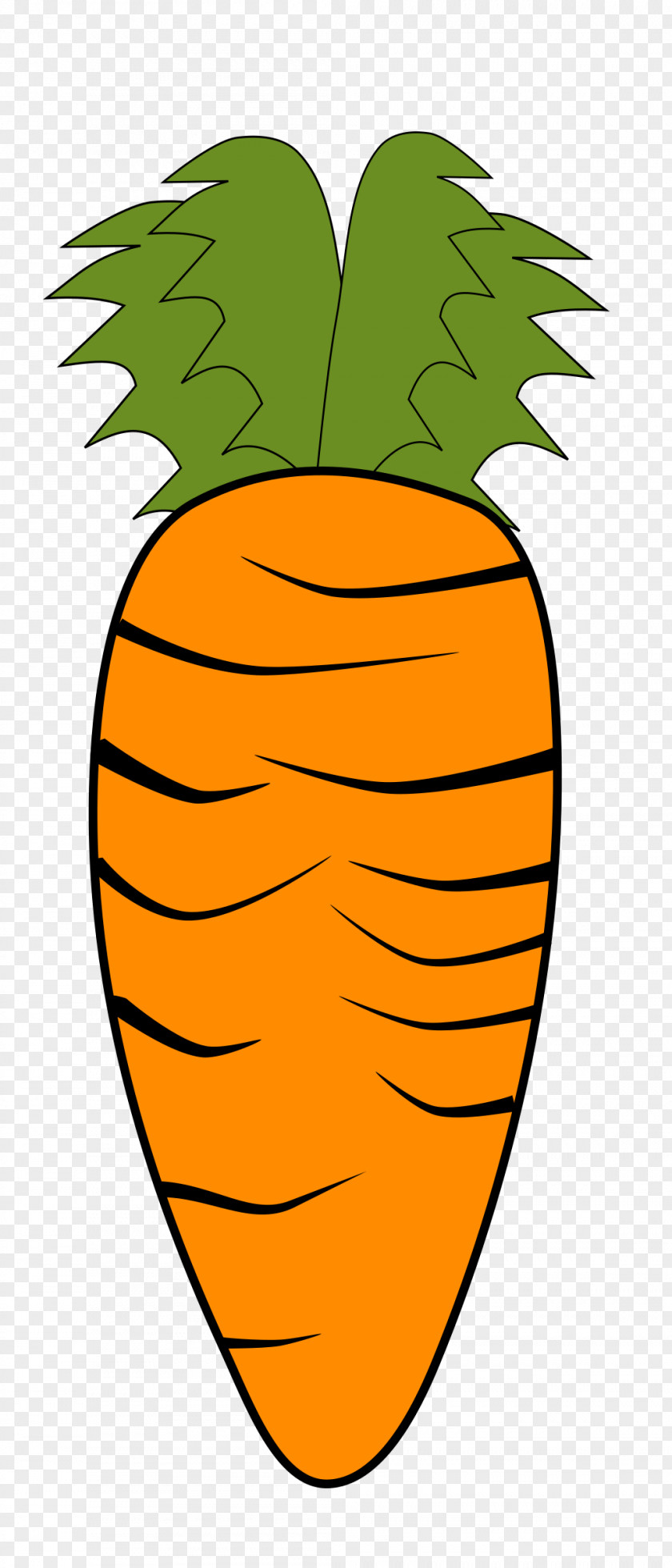 Carrot Vegetable PNG