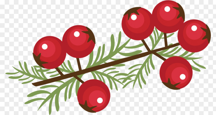 Christmas Berry Gift Clip Art PNG