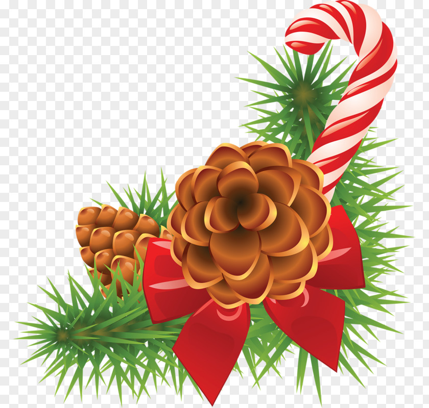 Christmas Tree Clip Art Conifer Cone Day Pine PNG