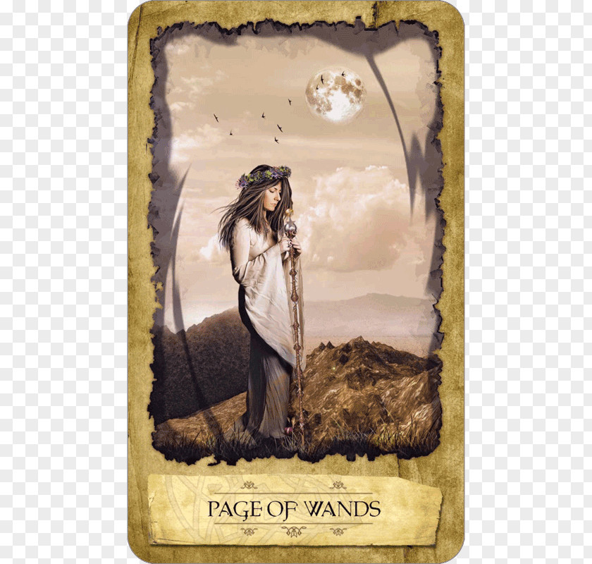 Dream Mystic Dreamer Tarot Page Of Wands Mysticism The Fool PNG