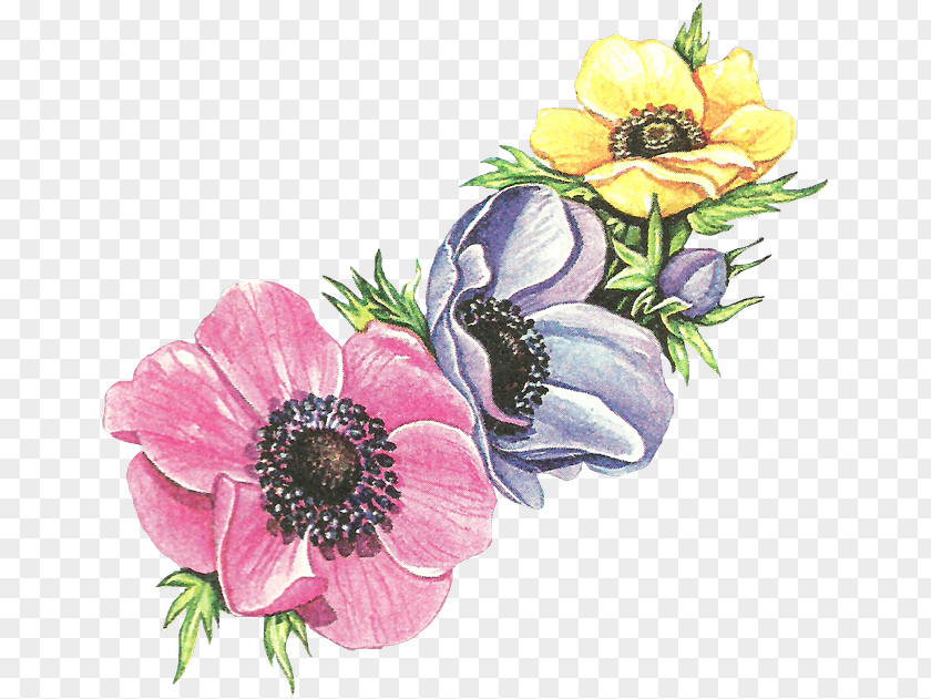 Flower Vintage Clothing Cut Flowers Floral Design Retro Style PNG