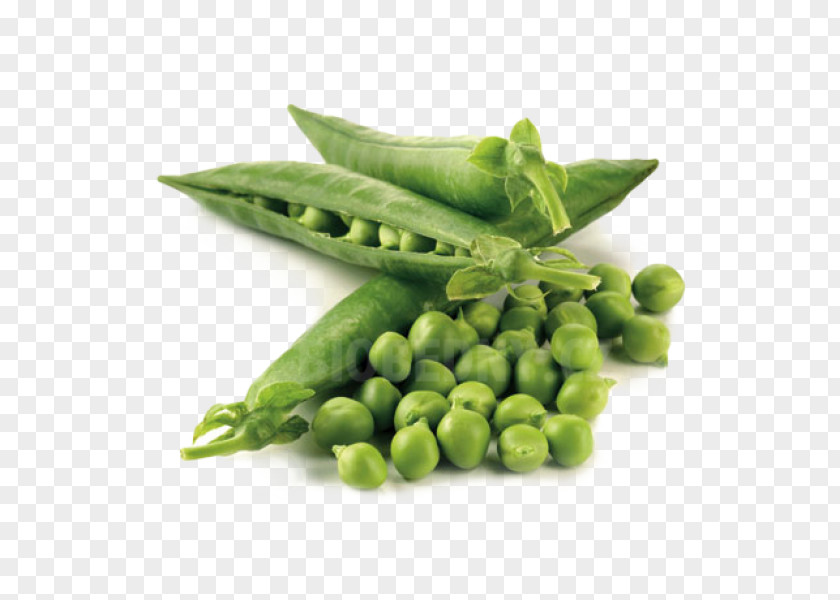 Sweet Pea Snap Heirloom Plant Seed Microgreen PNG
