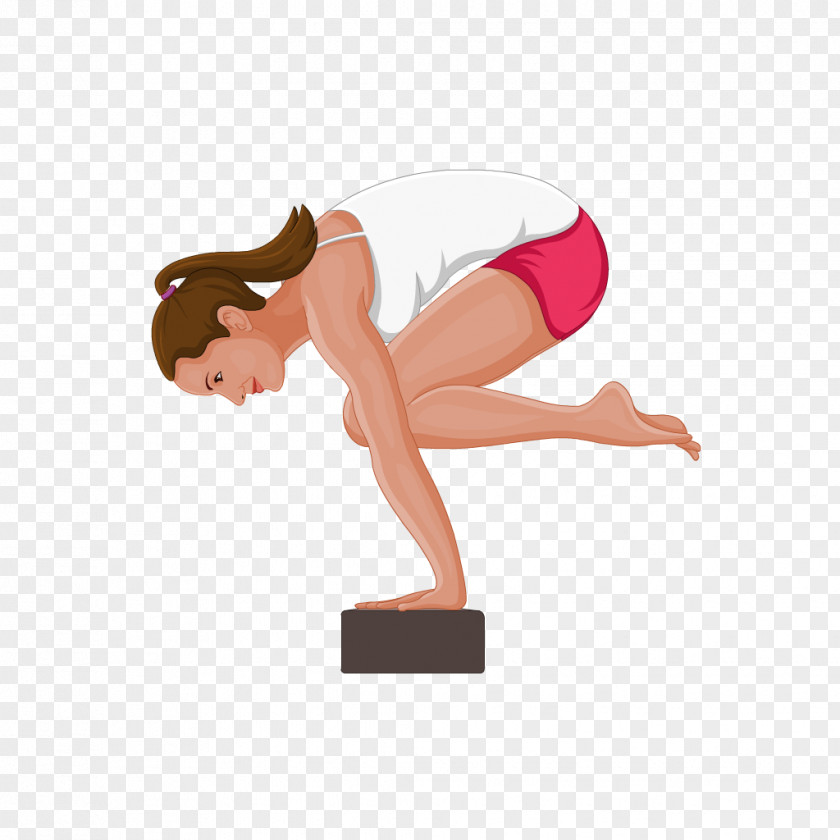 Yoga Shoulder Arm Sarvangasana Muscle PNG