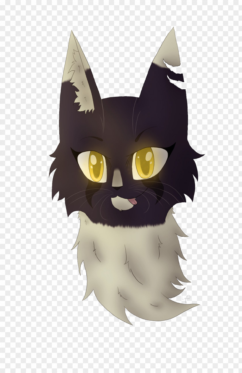 Cat Whiskers Snout Cartoon PNG