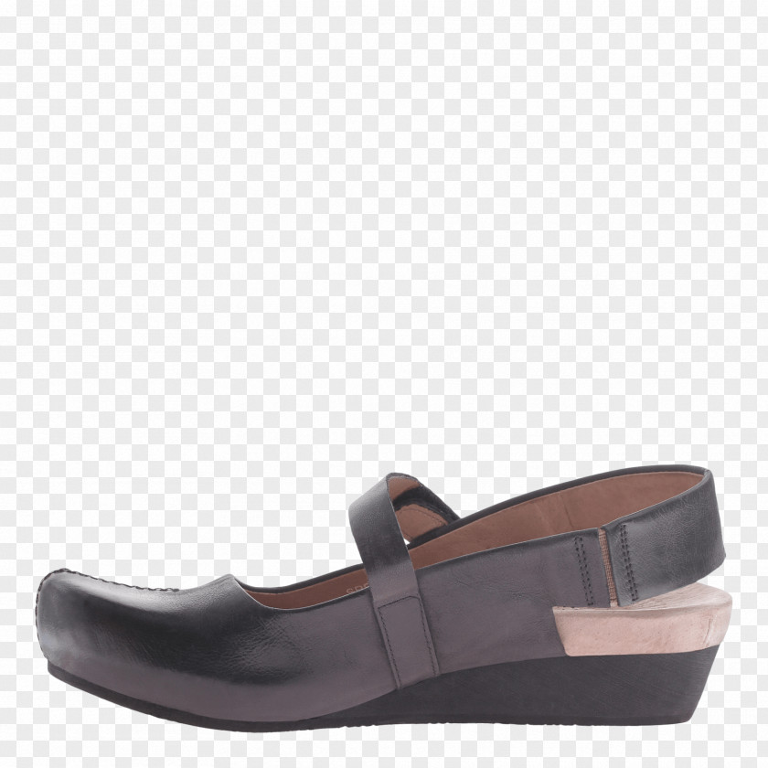 Design Slip-on Shoe Suede Mary Jane PNG