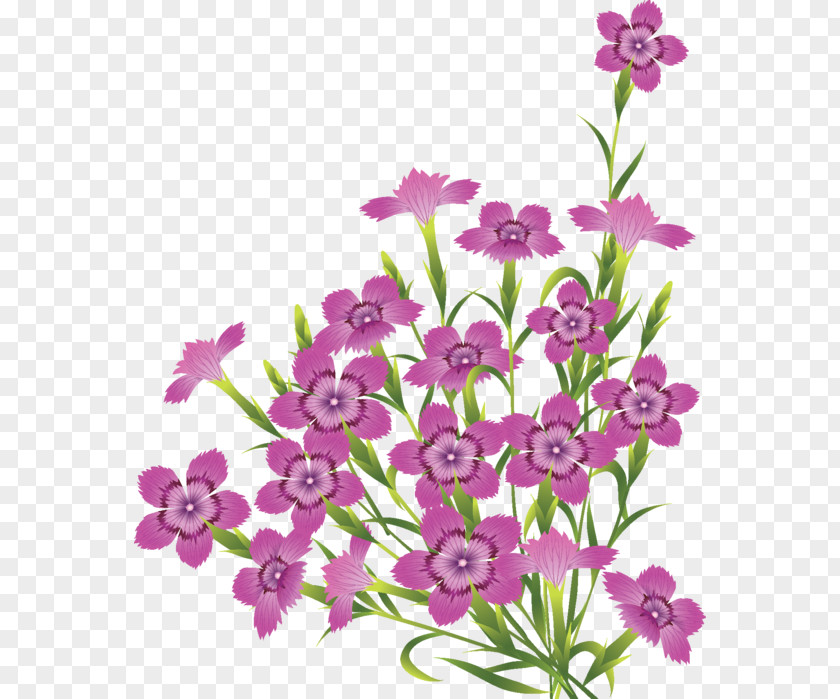 Flower Desktop Wallpaper Floral Design Clip Art PNG