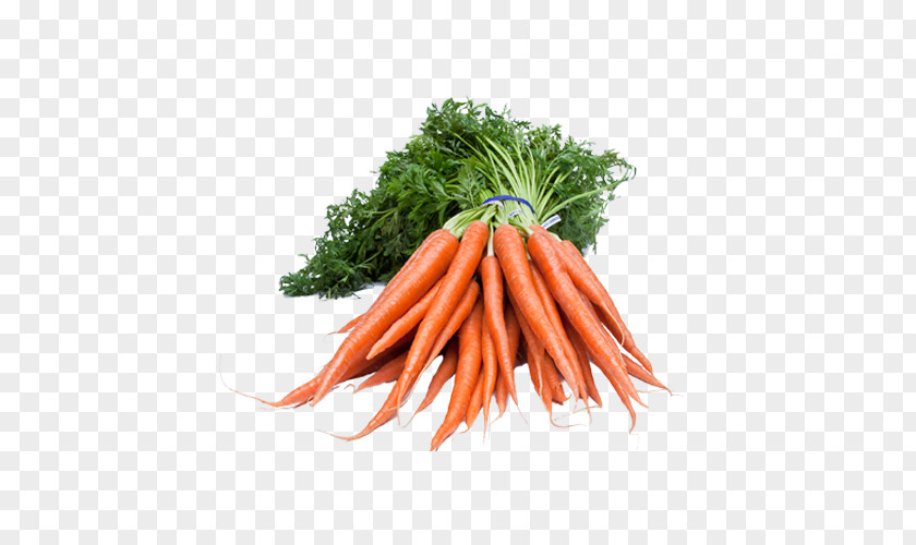 Juice Carrot Clip Art PNG