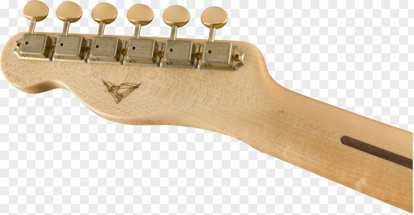 Musical Instruments Fender Esquire Stratocaster Telecaster Hollywood Bowl PNG