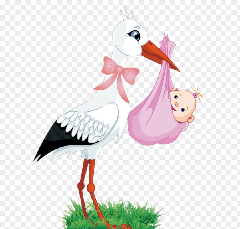 Stork White Infant Clip Art Child PNG