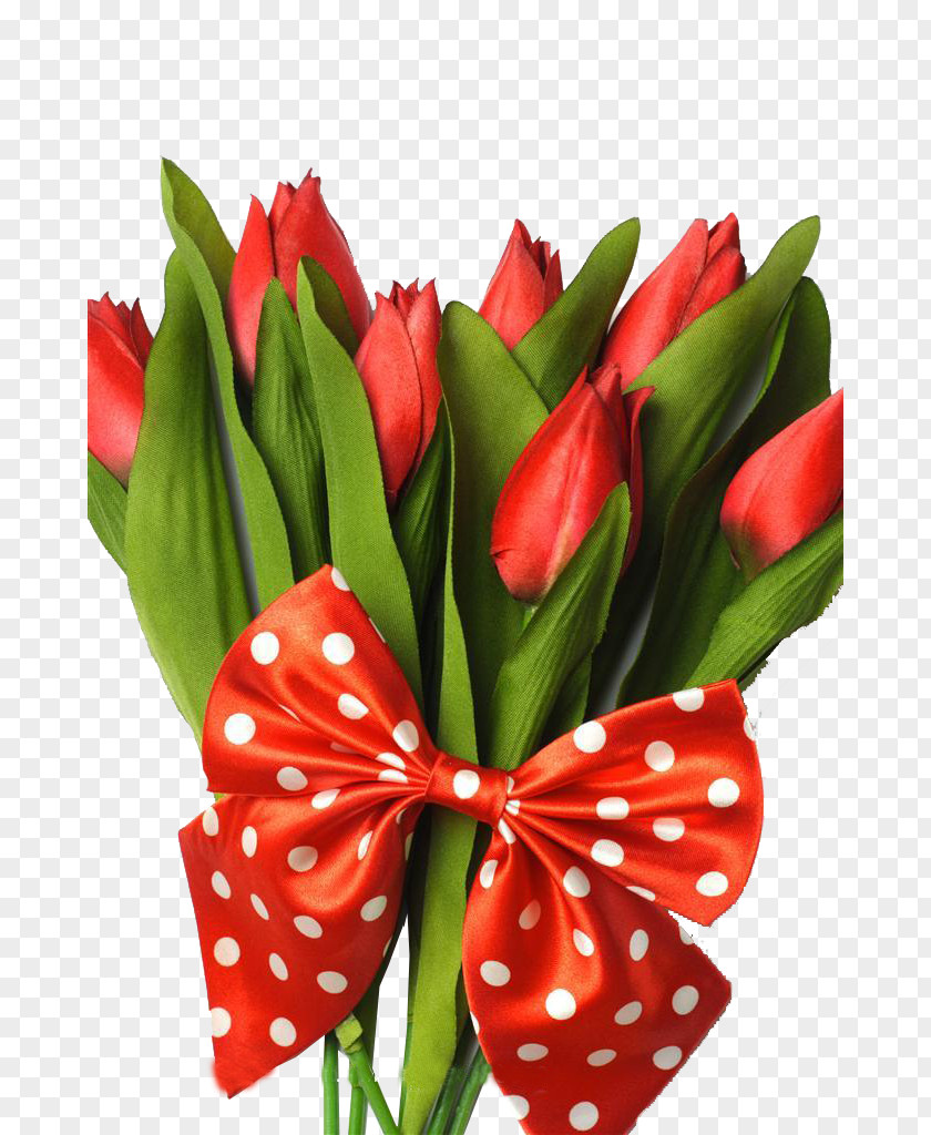 Creative Valentine's Day Tulips Flowers Indira Gandhi Memorial Tulip Garden Flower Bouquet PNG