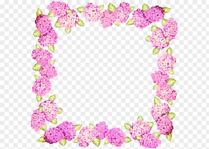 Flower Picture Frames Blog Image PNG