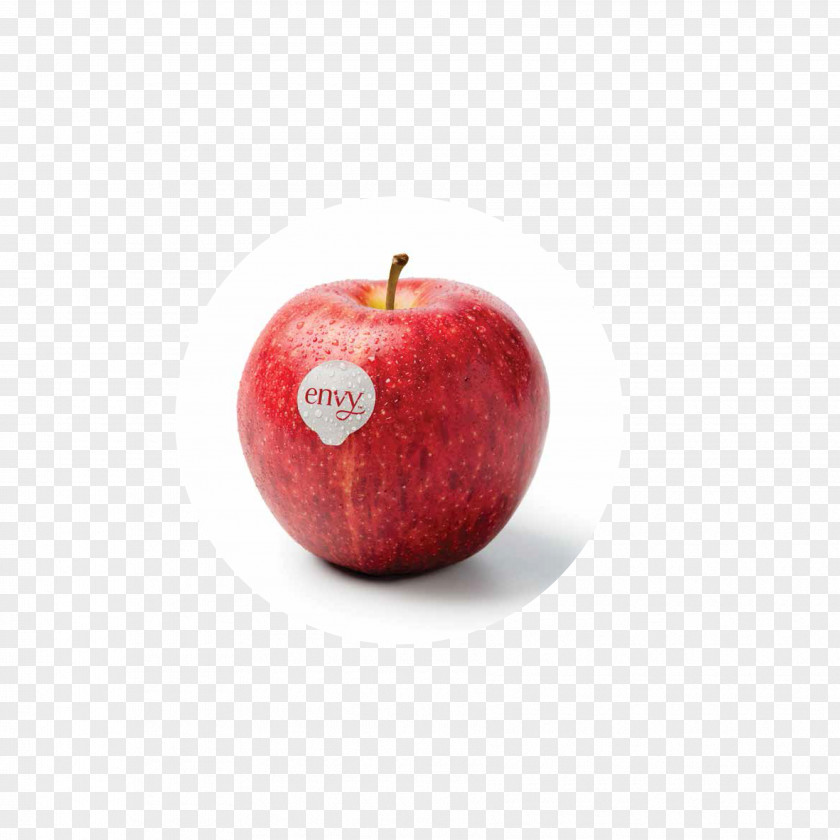 Genetically Modified Organism Crisp Apple Envy Fruit Gala PNG