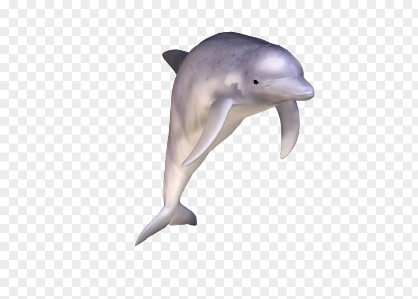 Hemoglobin Common Bottlenose Dolphin Short-beaked Tucuxi Rough-toothed Wholphin PNG