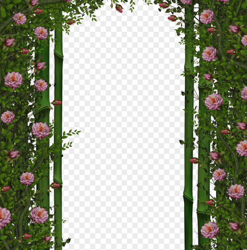 Lace Arches Wallpaper PNG