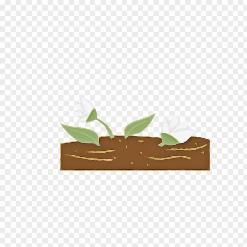 Leaf Brown Plant Rectangle PNG