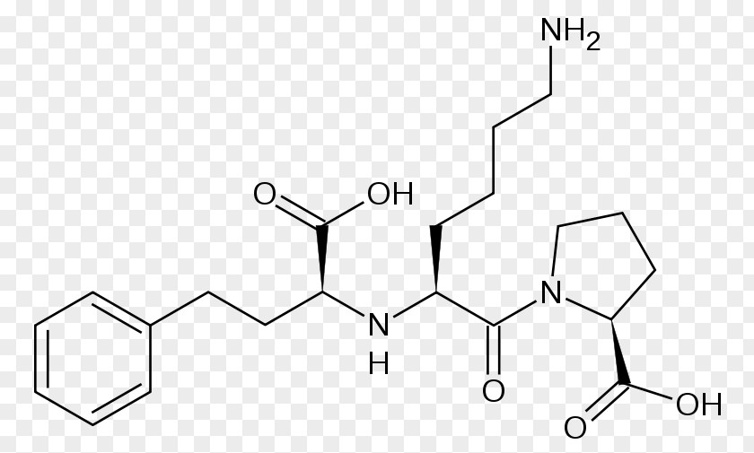 Ramipril Lisinopril Pharmaceutical Drug Esomeprazole ACE Inhibitor PNG