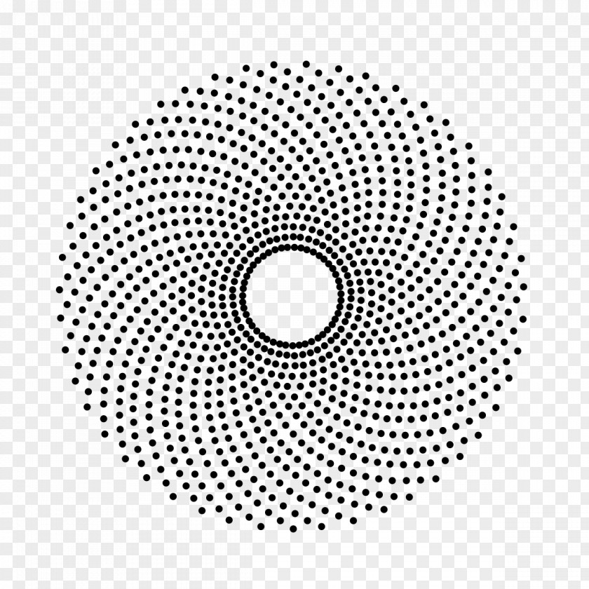 Crack 19 0 1 Phyllotaxis Golden Spiral Fibonacci Number Ratio PNG