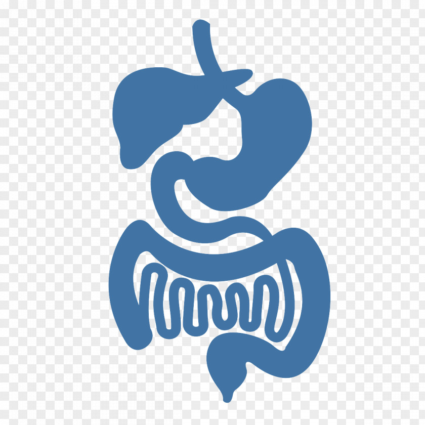 Health Gastrointestinal Tract Large Intestine Disease Human Digestive System Medicine PNG