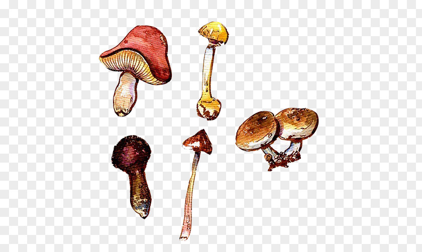 Mushroom Hand Painting Material Picture PNG