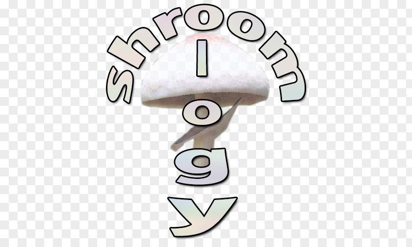 Psilocybin Mushroom Magic Mushrooms PNG