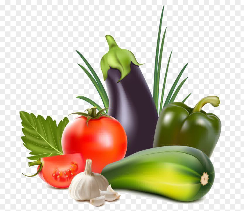 Solanum Herb Vegetable Cartoon PNG