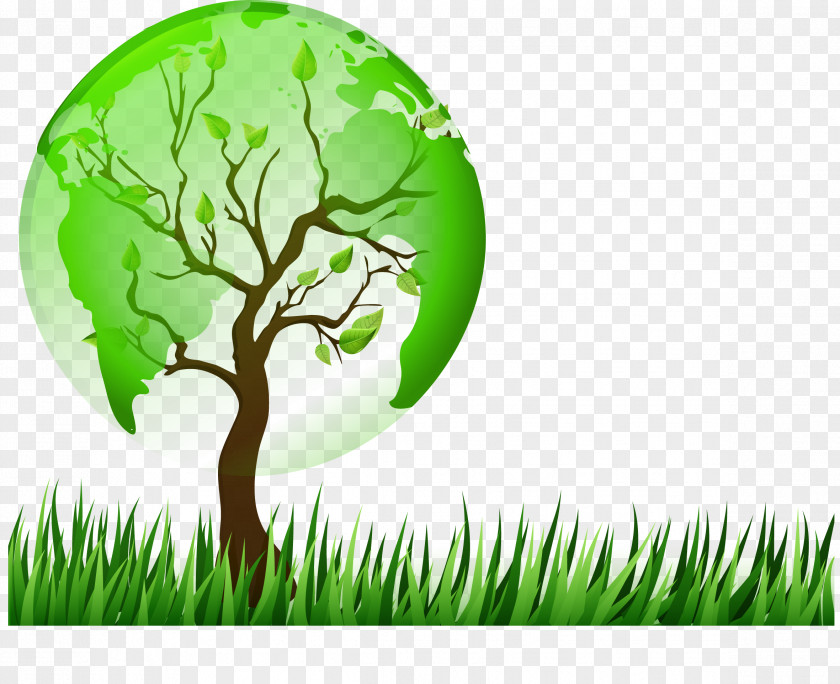 The Trees On Grass PNG