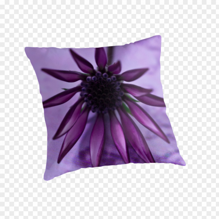Gazania Purple Violet Cushion Throw Pillows Lilac PNG