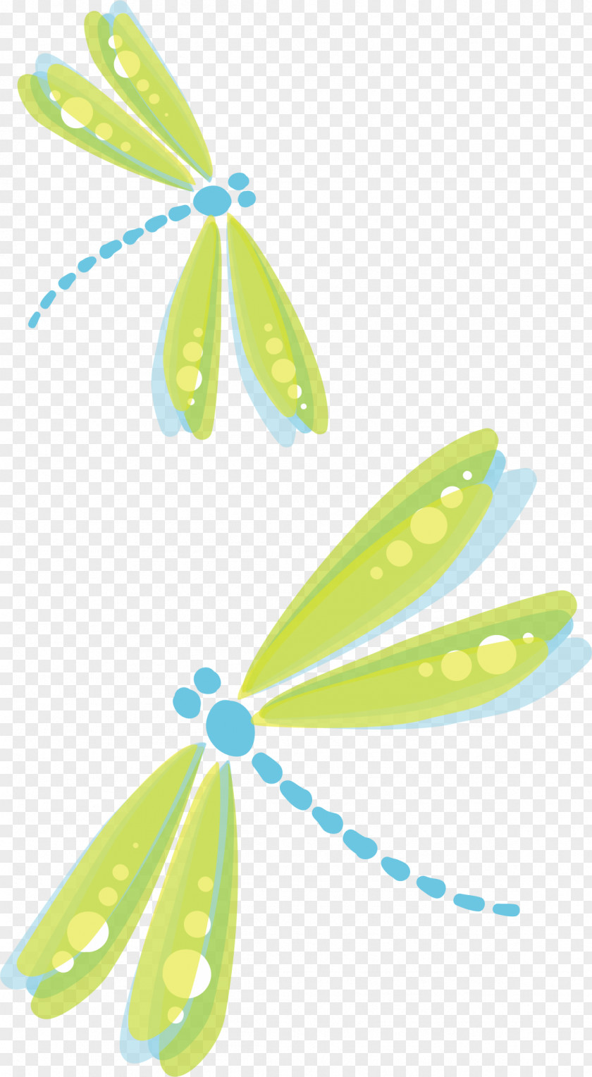 Green Dragonfly Euclidean Vector Adobe Illustrator PNG