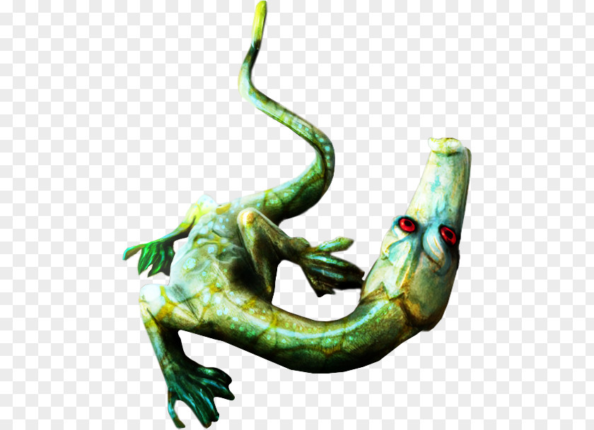 Lizard Free Download PNG