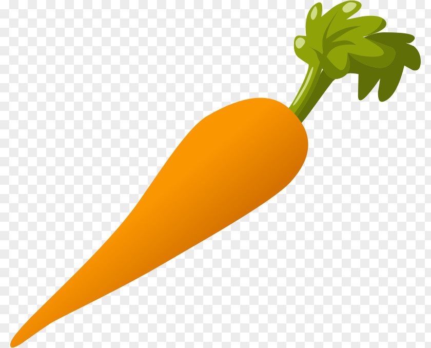 Carrot Cliparts Salad Clip Art PNG