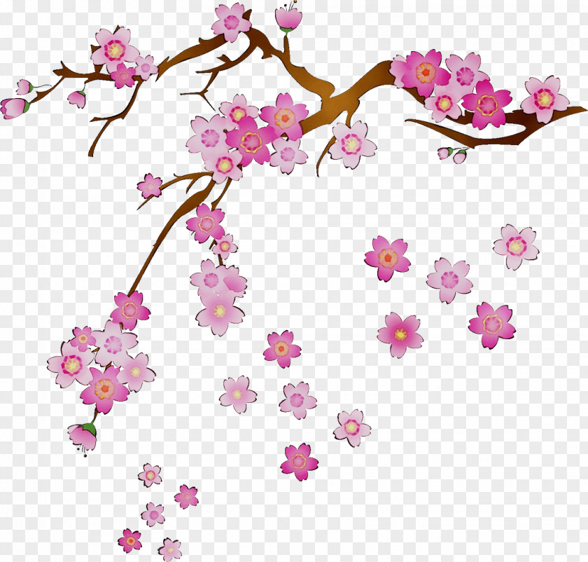 Cherry Blossom Cerasus Paper Branch Design PNG