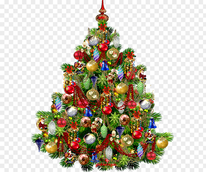 Christmas Tree New Year PNG