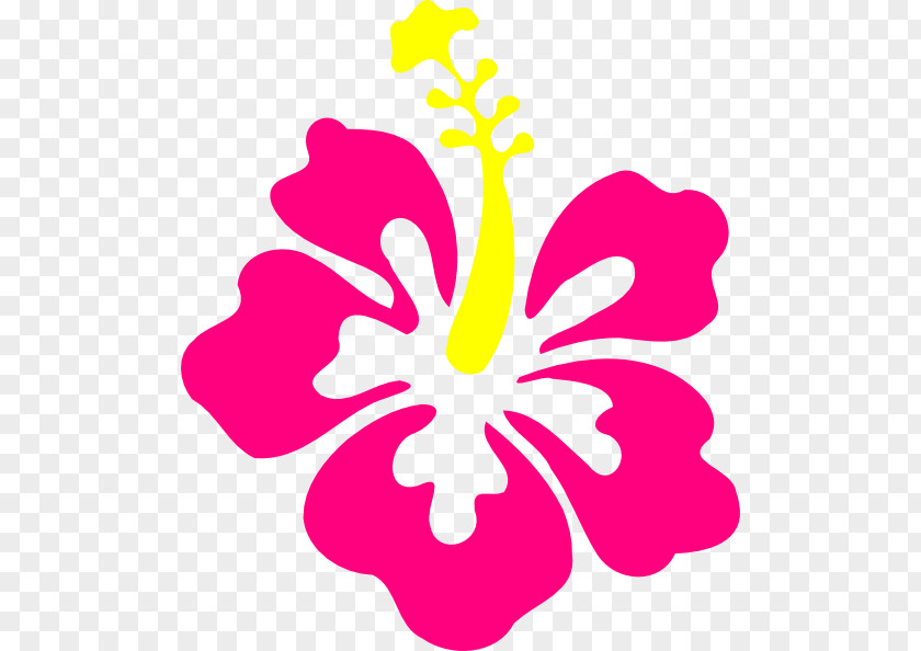 Hawaii Flower Hawaiian Hibiscus Alyogyne Huegelii Clip Art PNG