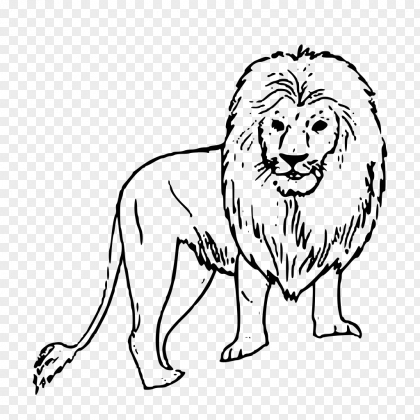 Lion Illustration Black And White Drawing Clip Art PNG