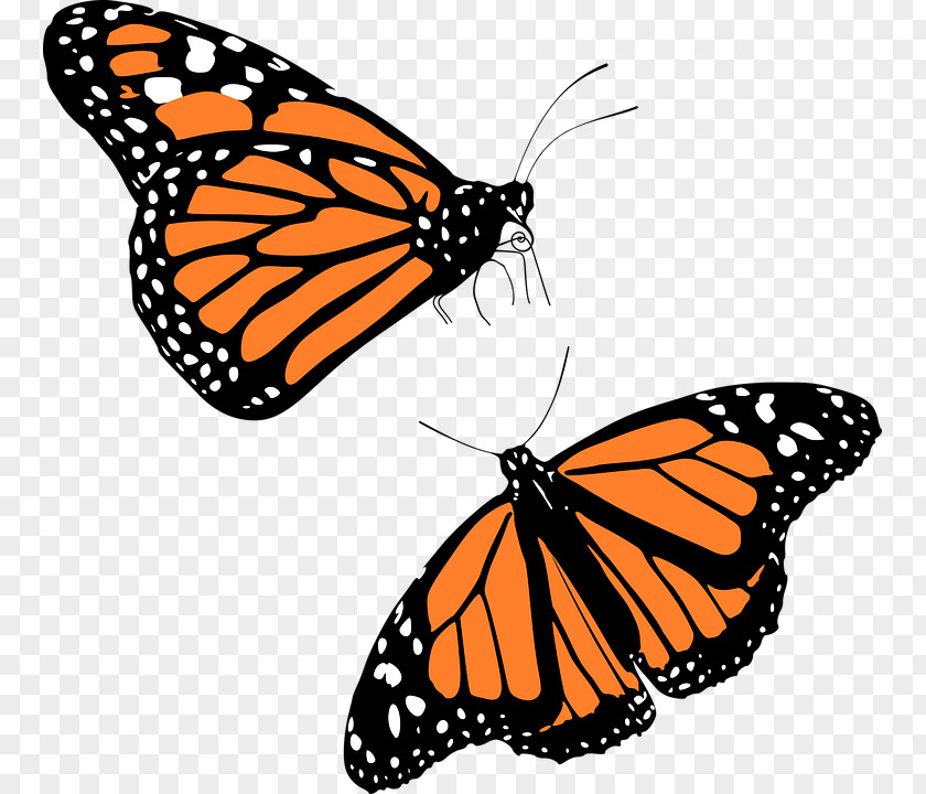 Cartoon Bees Monarch Butterfly Migration Clip Art PNG