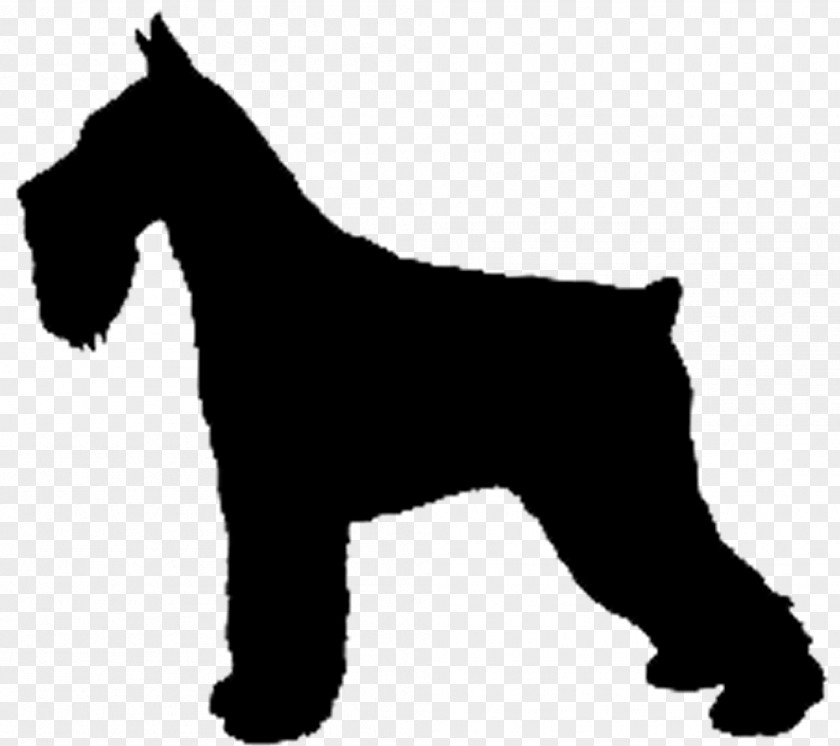 Irish Terrier Welsh Dog Miniature Schnauzer Lakeland PNG
