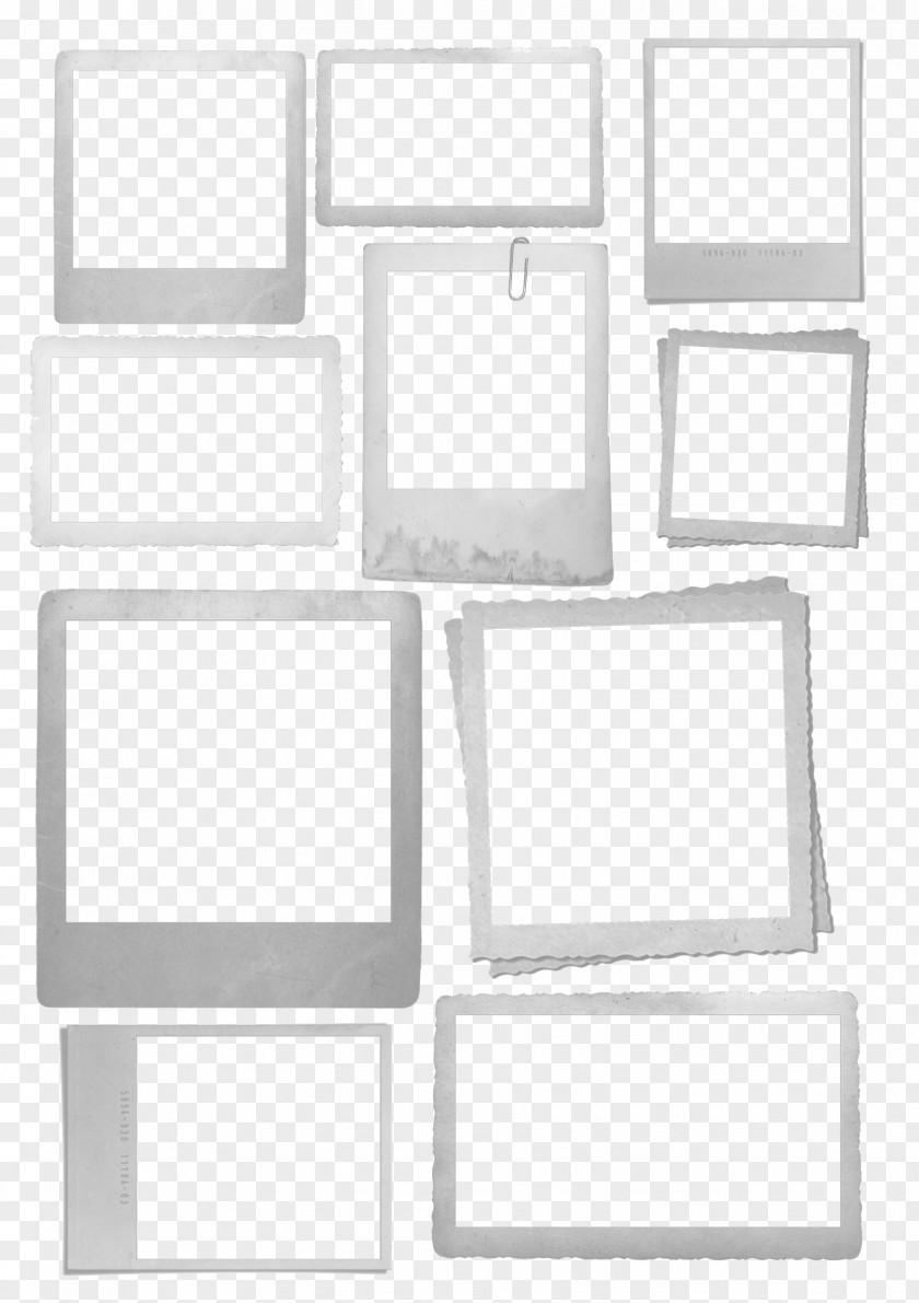 Living Thing Paper Picture Frames Pattern Text Design PNG