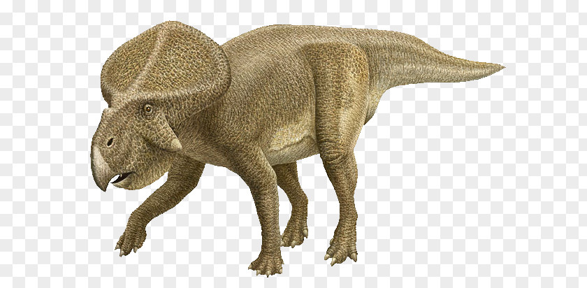 Yi Protoceratops Flaming Cliffs Late Cretaceous Velociraptor PNG