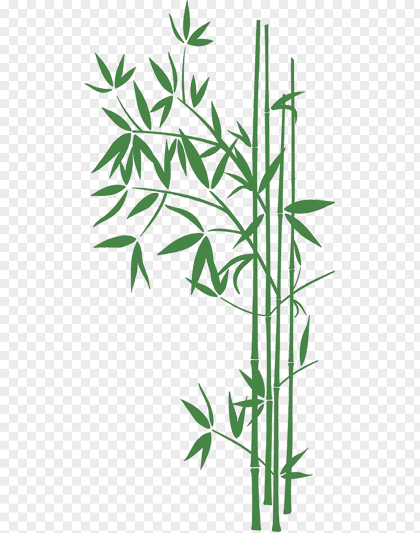 Bamboo Desktop Wallpaper High-definition Television Clip Art PNG