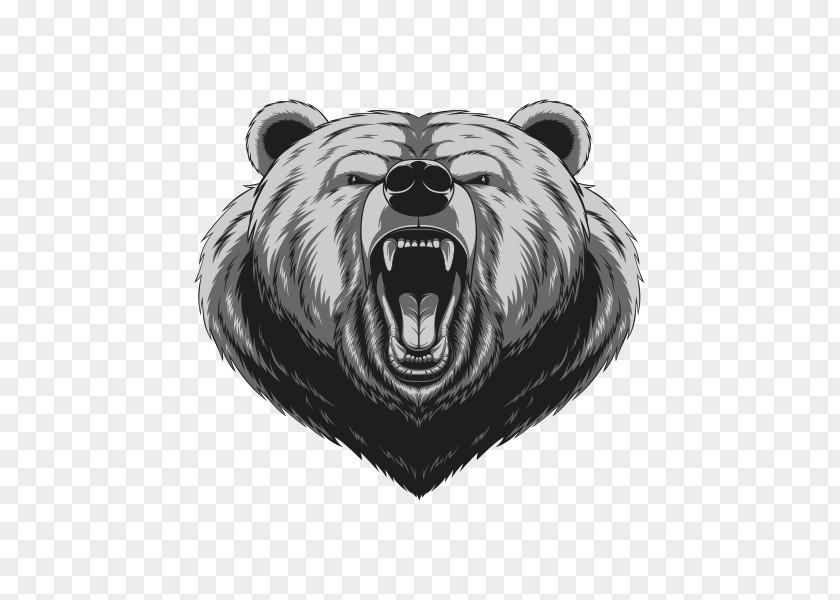 Bear American Black Drawing PNG