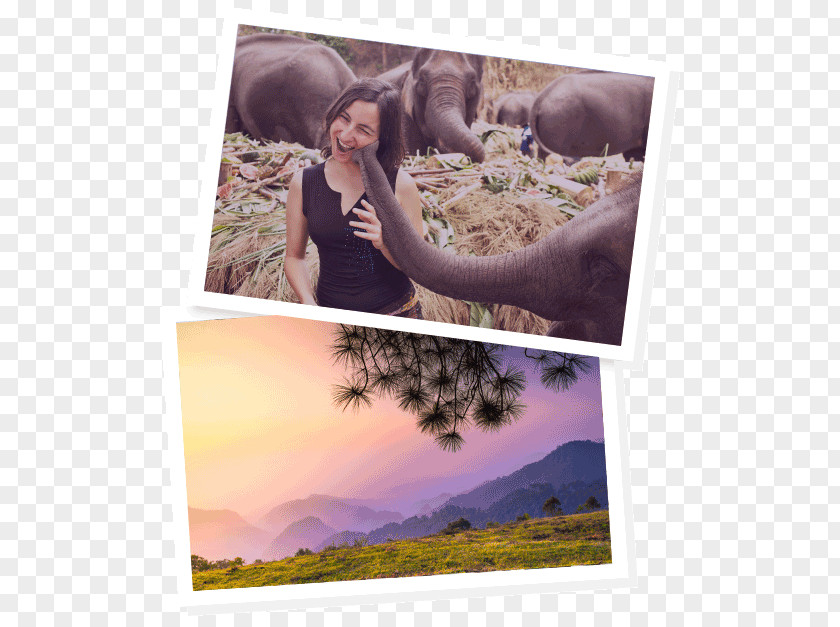Chiang Mai Work And Travel USA Visa Photomontage Picture Frames PNG