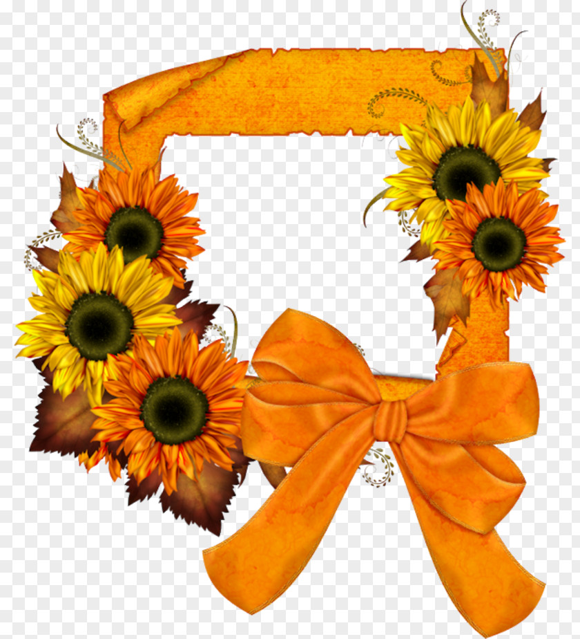 Flower Common Sunflower Picture Frames Clip Art PNG