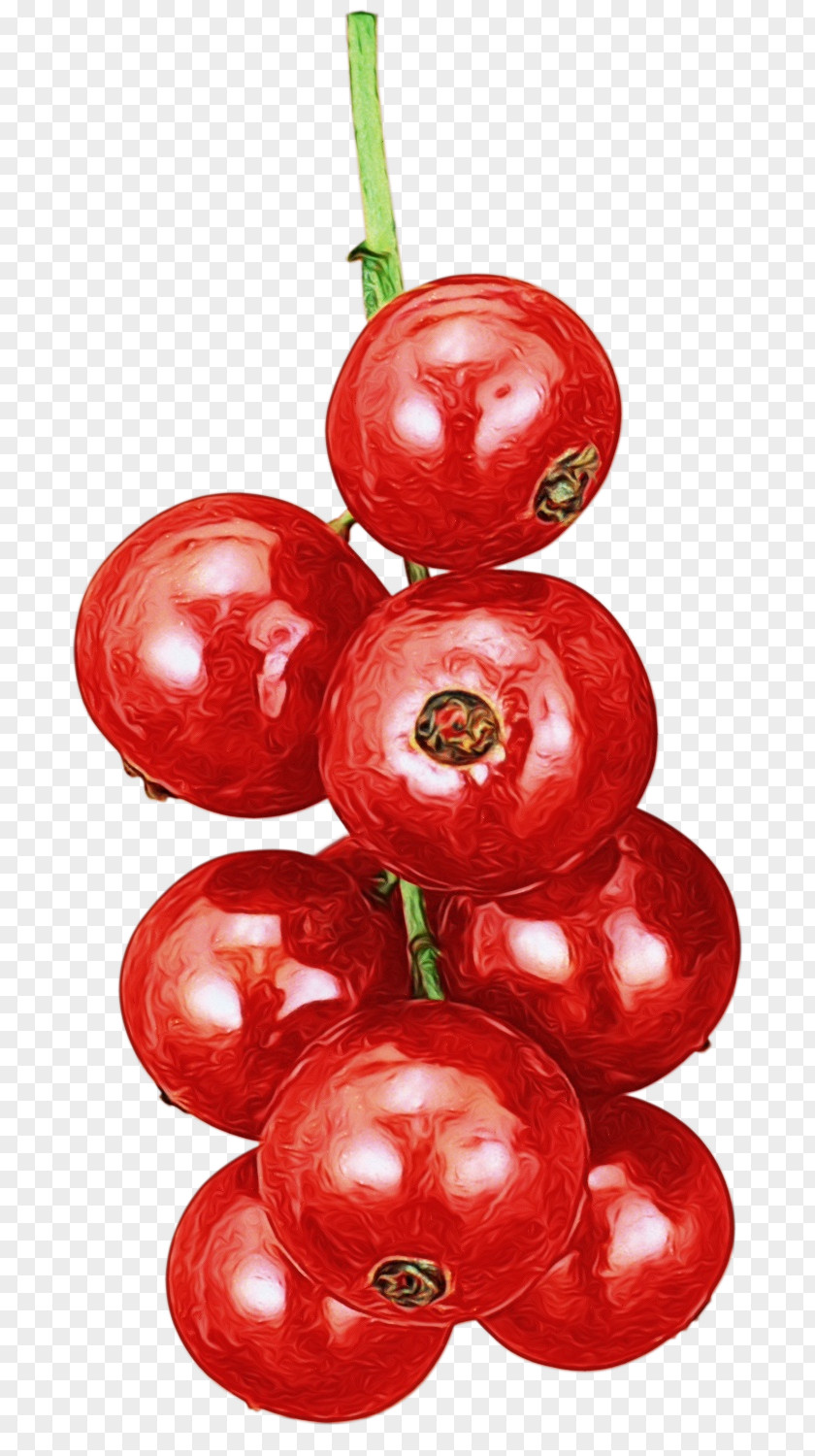 Flower Superfruit Red Christmas Ornament PNG