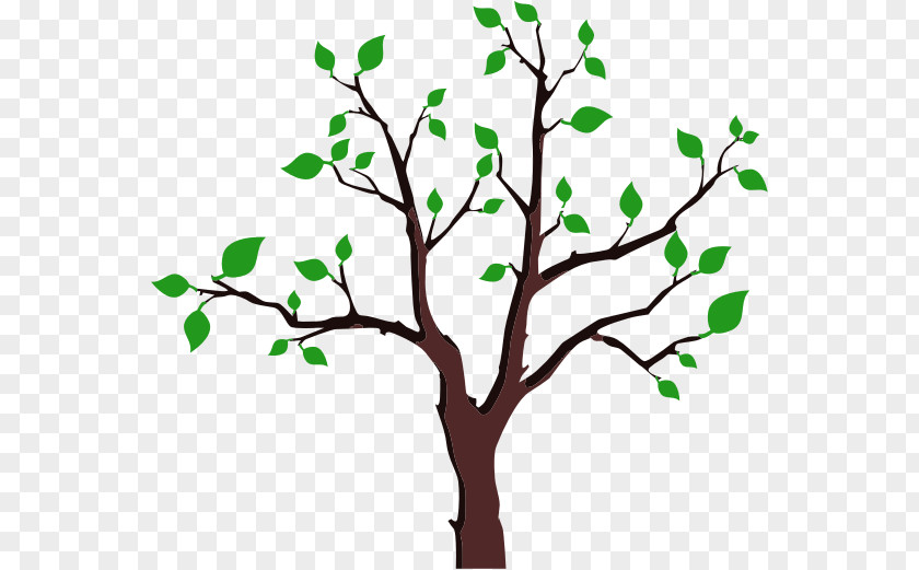 Foliage Cliparts Paper Bumper Sticker Tree Decal PNG