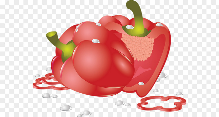 Tomato Bell Pepper Pimiento Chili Drawing PNG