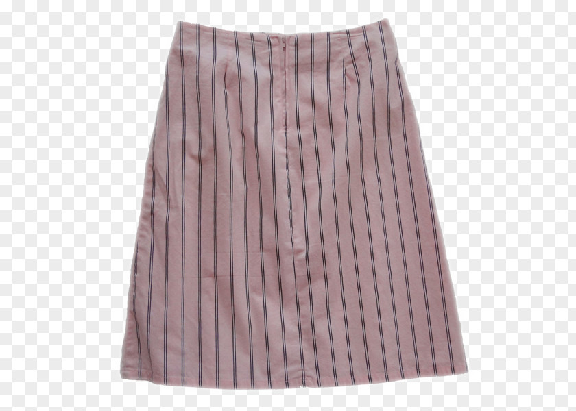 And Pleated Skirt Dress PNG