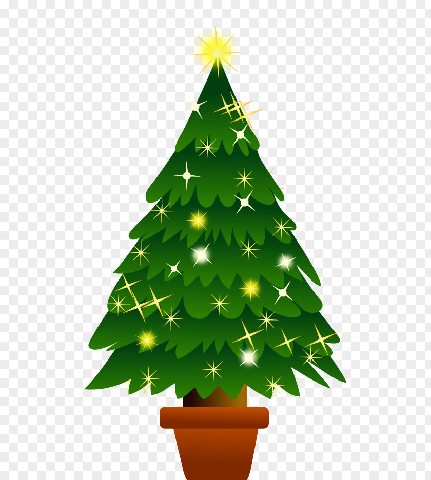 Christmas Event Tree Abies Firma PNG