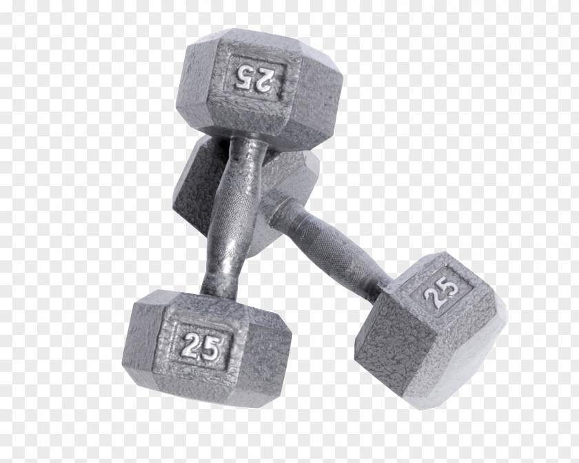 Dumbbell Weight Training Exercise Equipment Physical Fitness Barbell PNG
