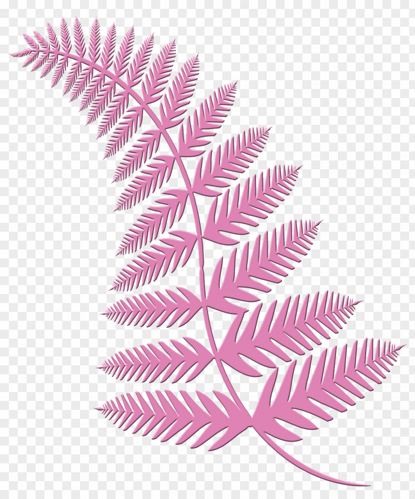 Fern United States Stock Photography Kaskus PNG